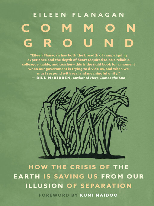 Title details for Common Ground by Eileen Flanagan - Available
